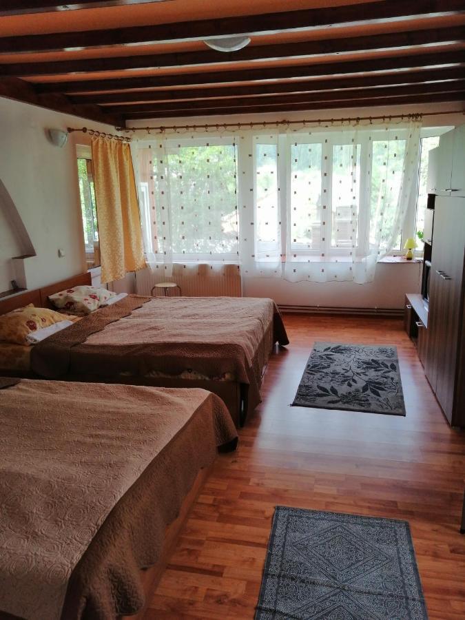 Casa Ddm Daniel Hotel Busteni Exterior photo
