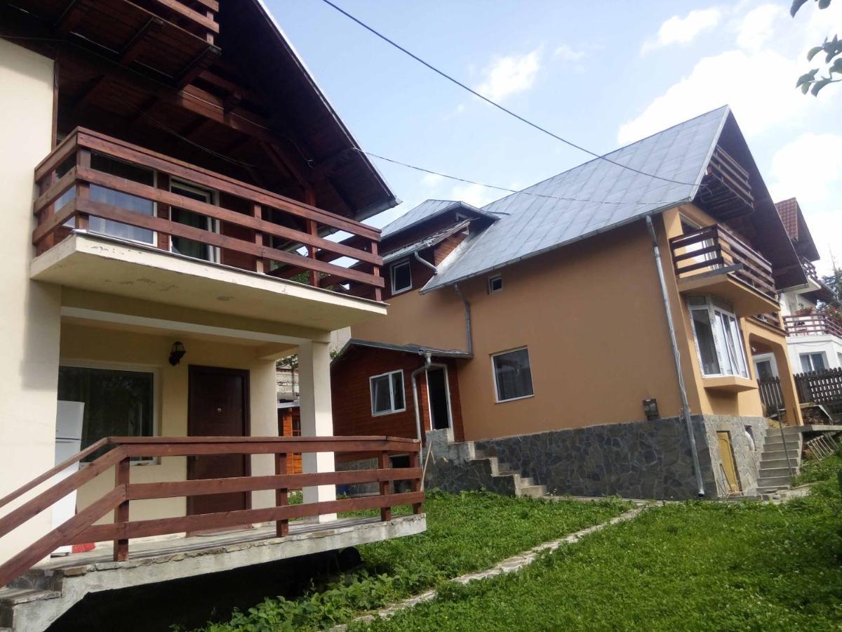 Casa Ddm Daniel Hotel Busteni Exterior photo