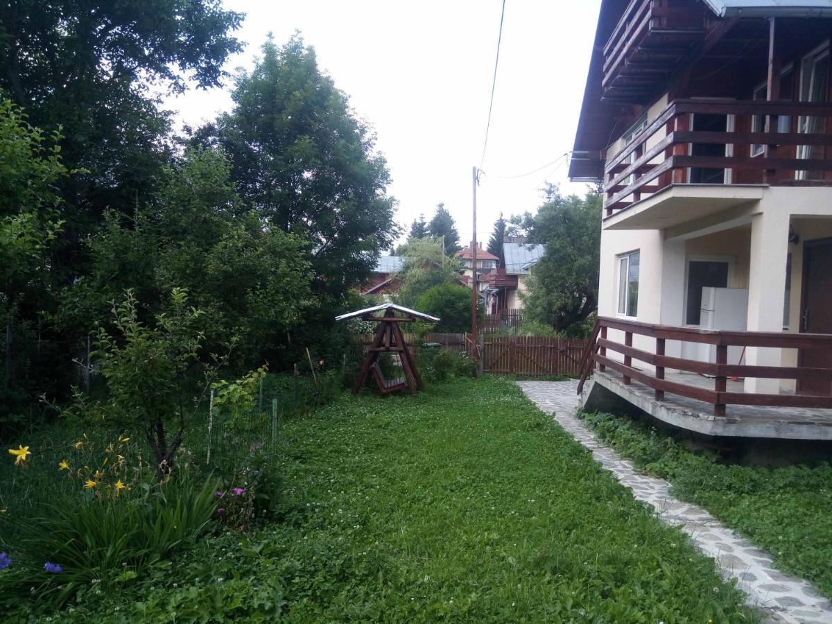 Casa Ddm Daniel Hotel Busteni Exterior photo