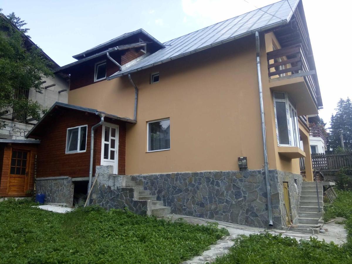 Casa Ddm Daniel Hotel Busteni Exterior photo