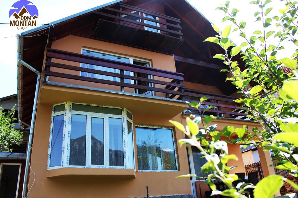 Casa Ddm Daniel Hotel Busteni Exterior photo