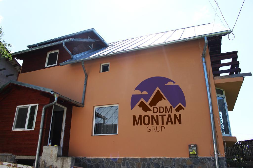 Casa Ddm Daniel Hotel Busteni Exterior photo