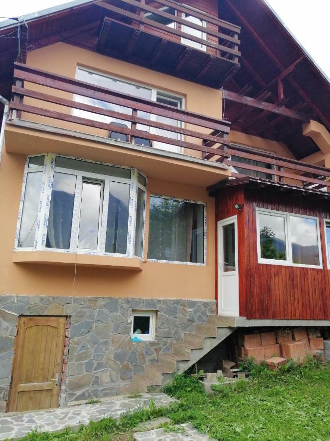 Casa Ddm Daniel Hotel Busteni Exterior photo
