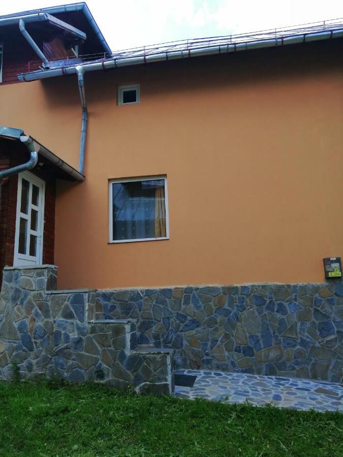 Casa Ddm Daniel Hotel Busteni Exterior photo