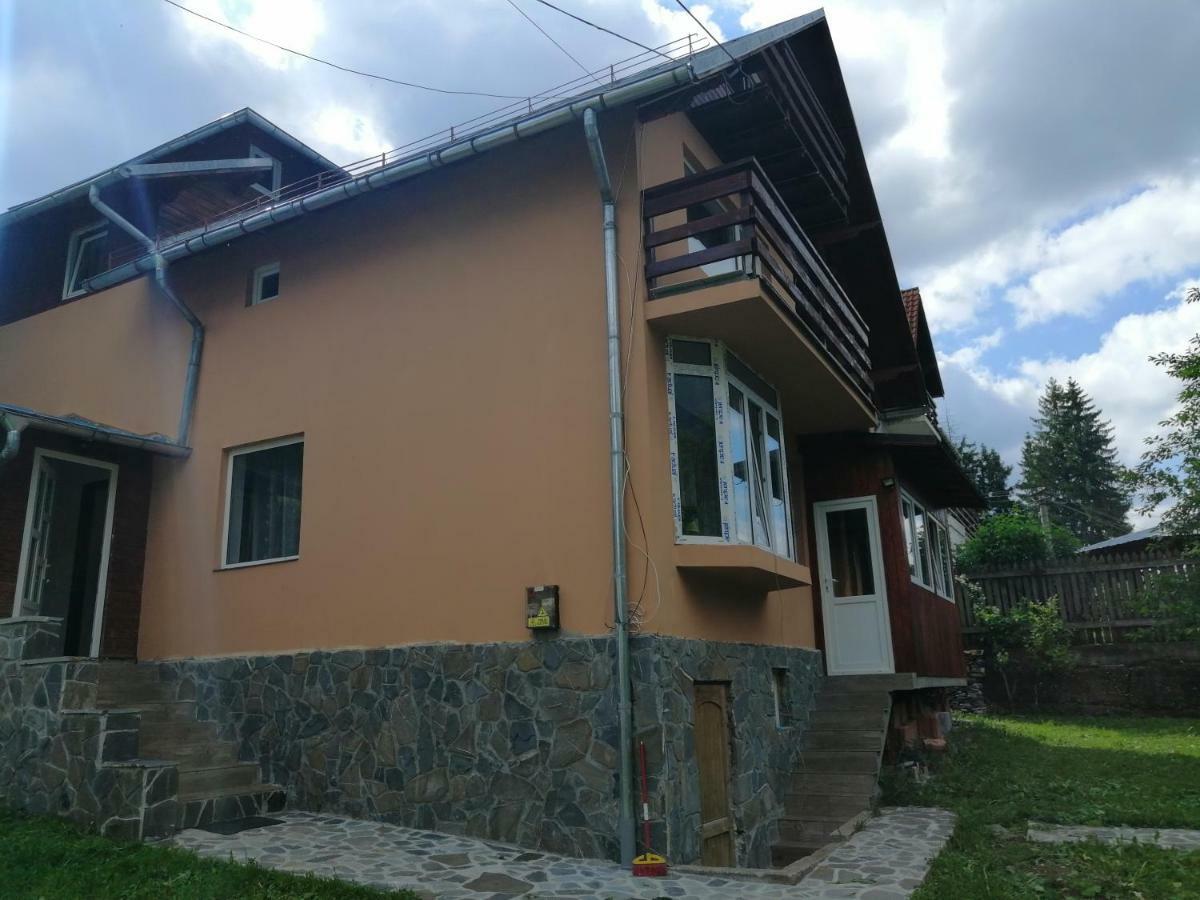 Casa Ddm Daniel Hotel Busteni Exterior photo