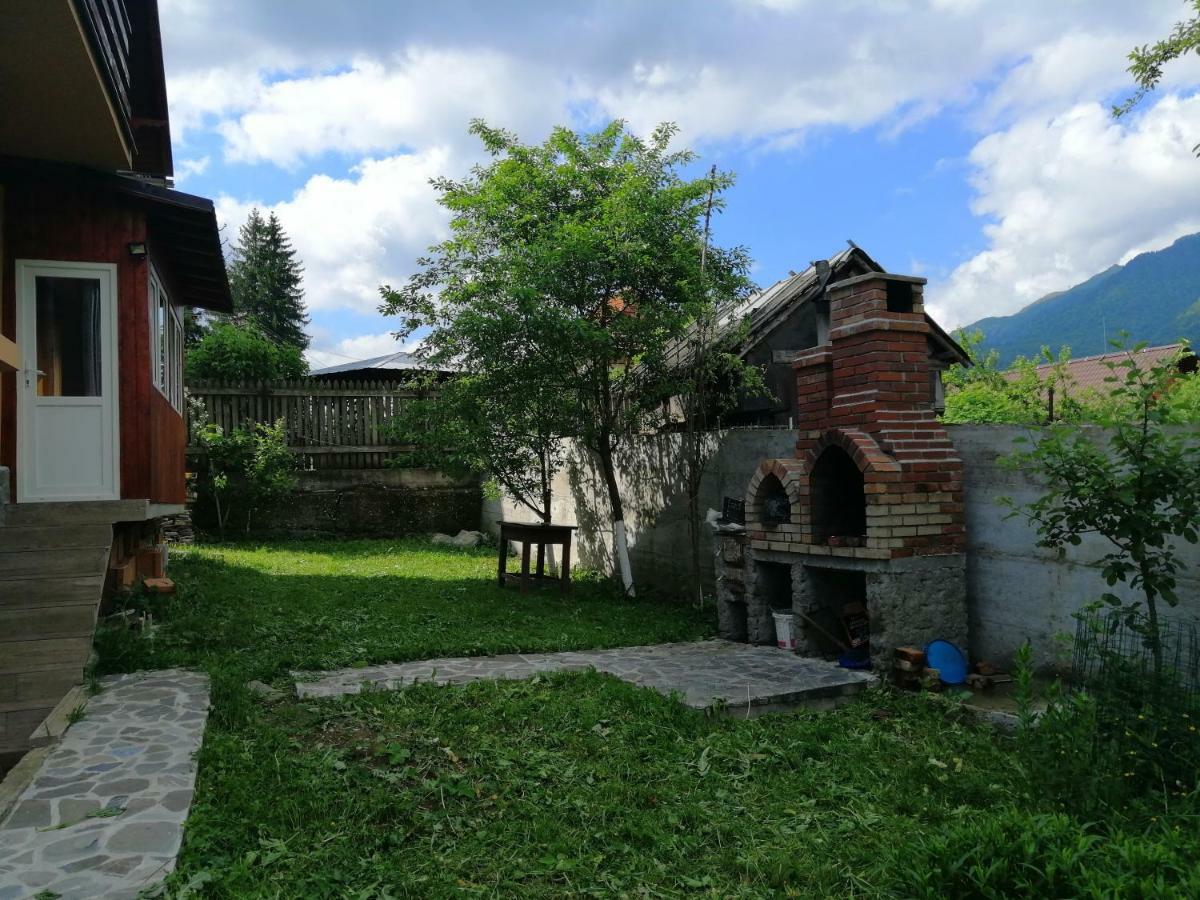 Casa Ddm Daniel Hotel Busteni Exterior photo